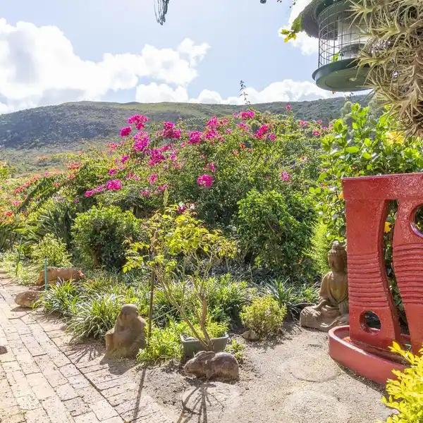 INCREDIBLE AND EXPANSIVE PROPERTY