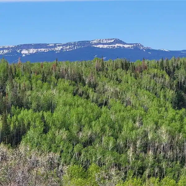 ONE OF THE MOST BREATHTAKING PARCELS IN ROUTT COUNTY