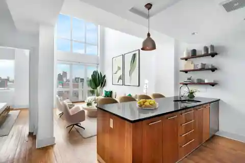 Williamsburg Penthouse on the Park