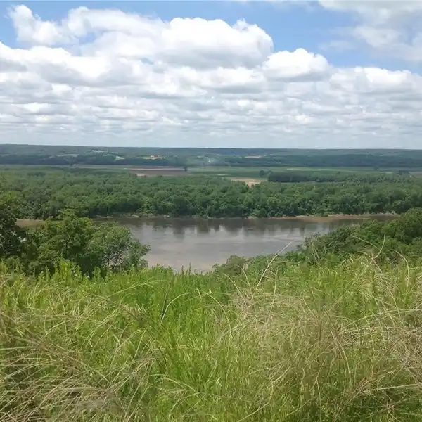 BUILD YOUR DREAM HOME ON OVER FOUR ACRES