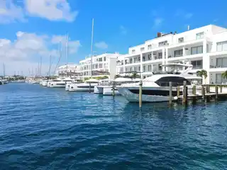 Tranquil Luxury Living in Palm Cay