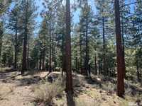 PERFECT NEAR-ACRE PROPERTY
