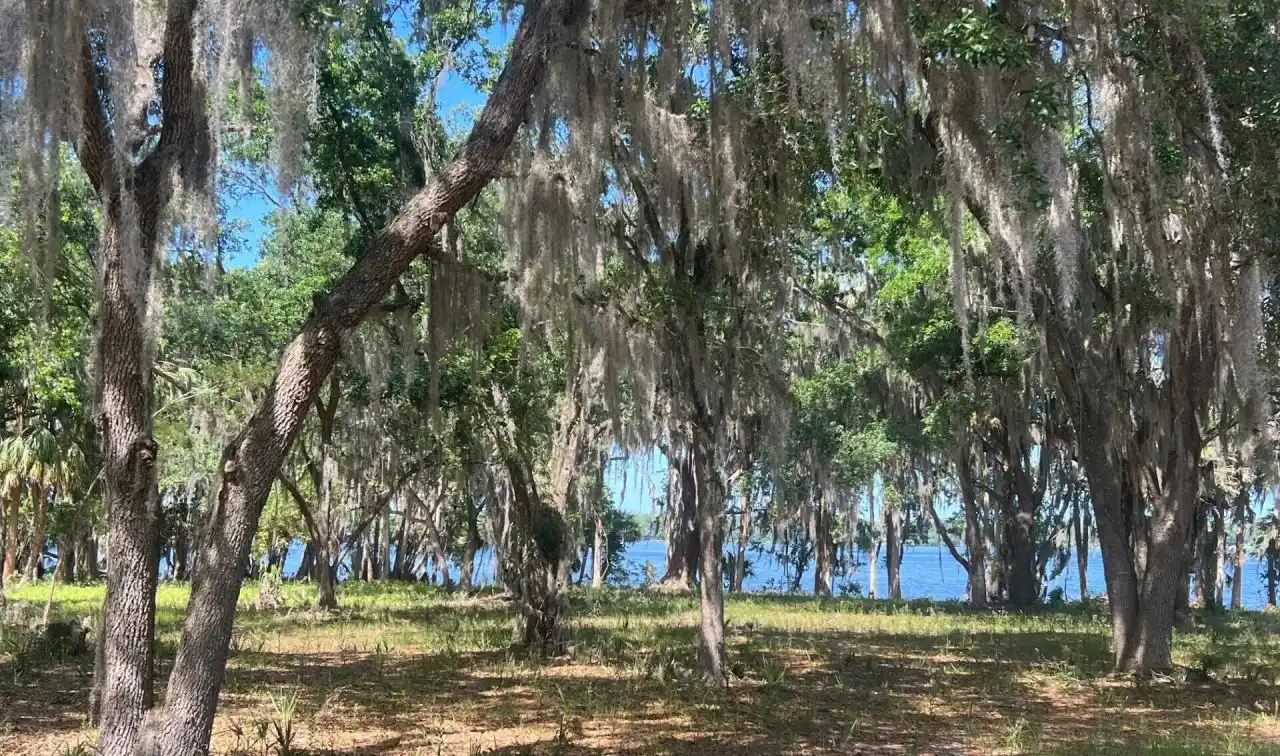 Stunning Riverfront Property in Palatka