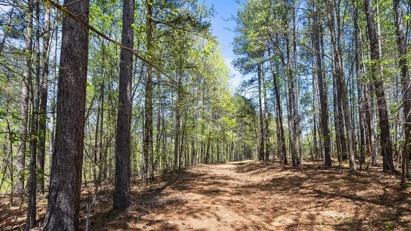 Rare 77-acre Property