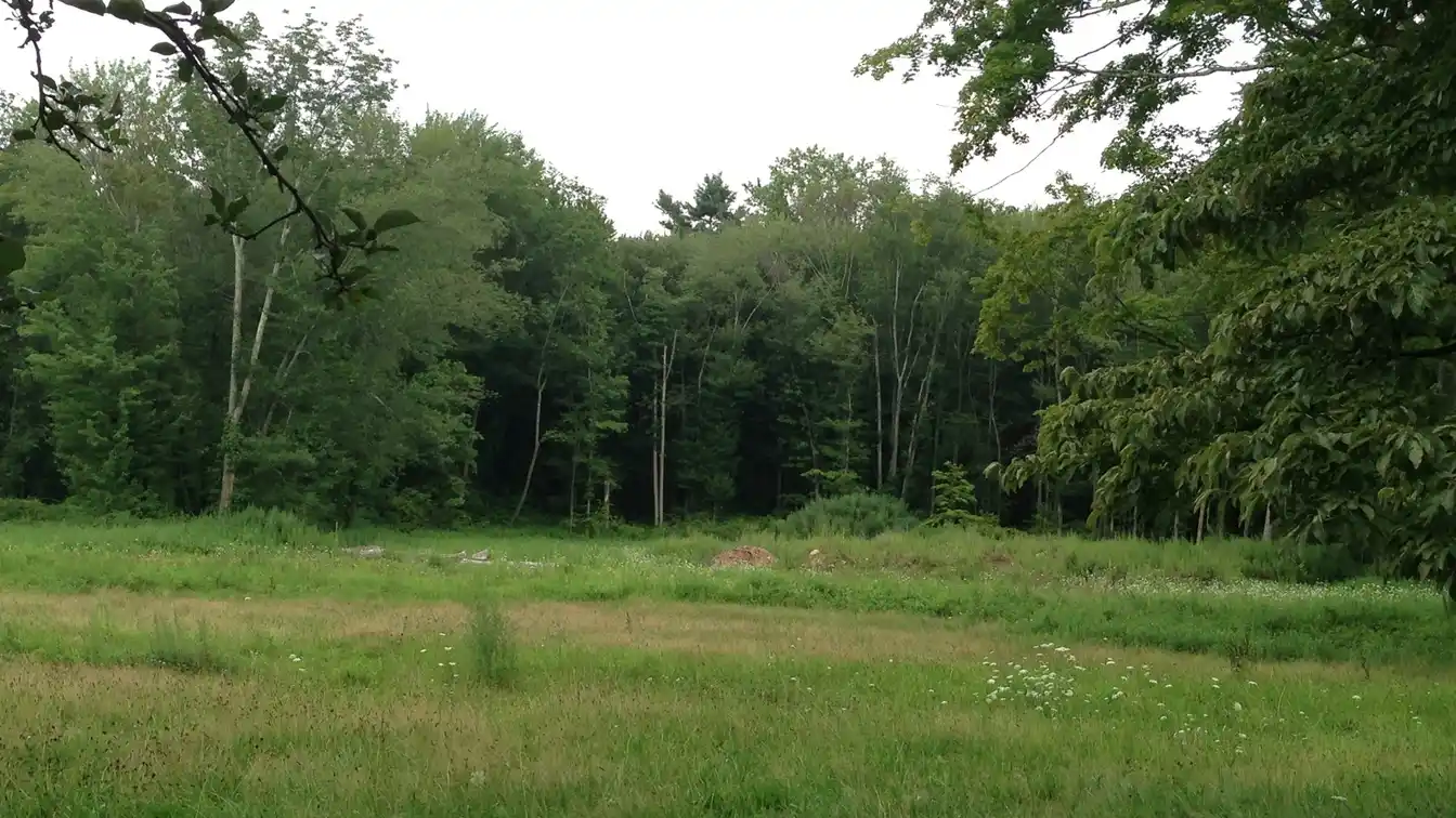 Flat Land with Stone Walls