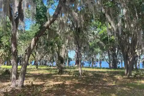 Stunning Riverfront Property in Palatka