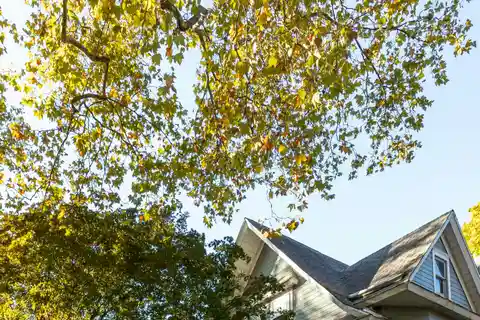 Create Your Dream Home on a Large Lot