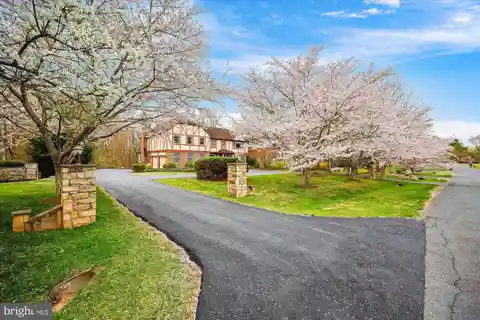 Spacious Tudor Home Backing National Parkland