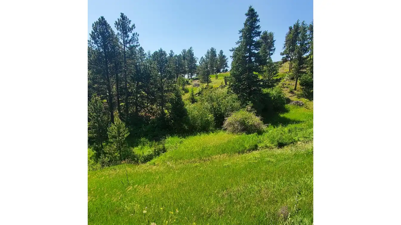 Rare 95-acre Mountain Retreat