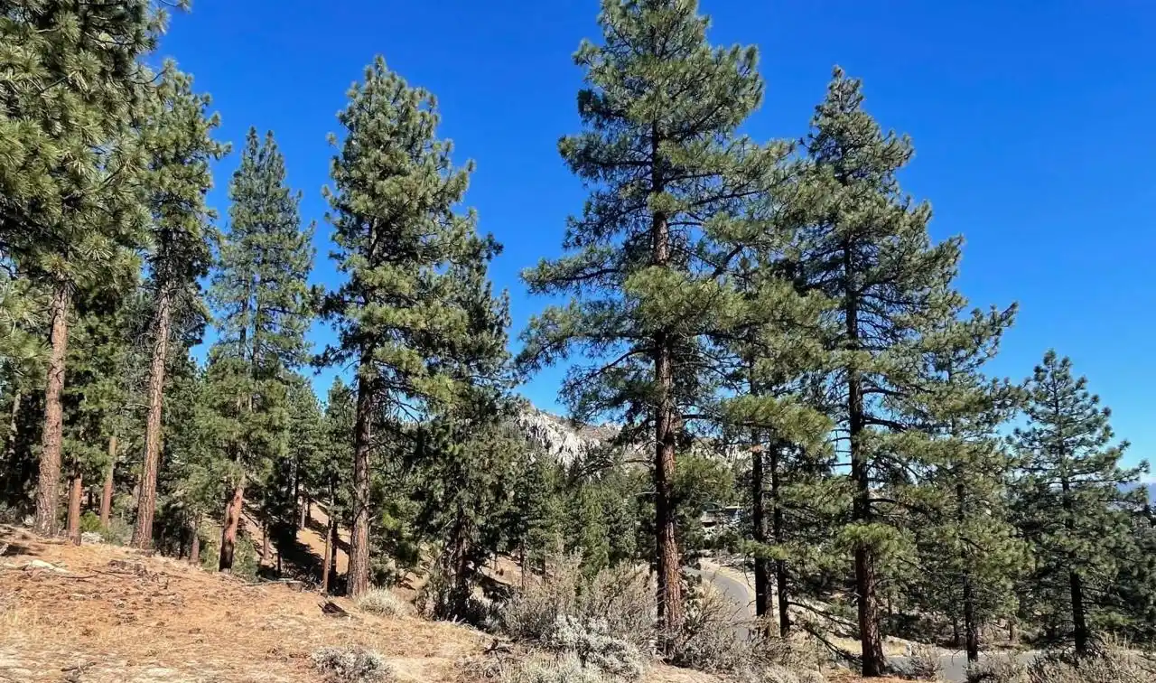 Build a Dream Home in Clear Creek Tahoe