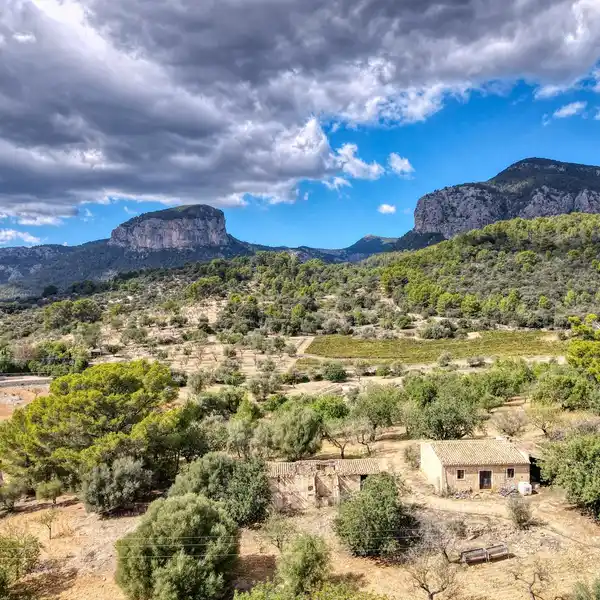 EXPANSIVE PROPERTY OFFERING UNIQUE POSSIBILITIES