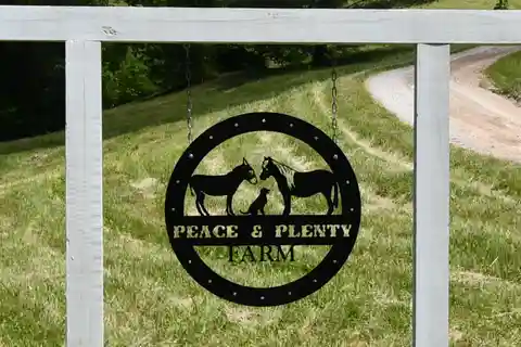 Peace and Plenty Farm