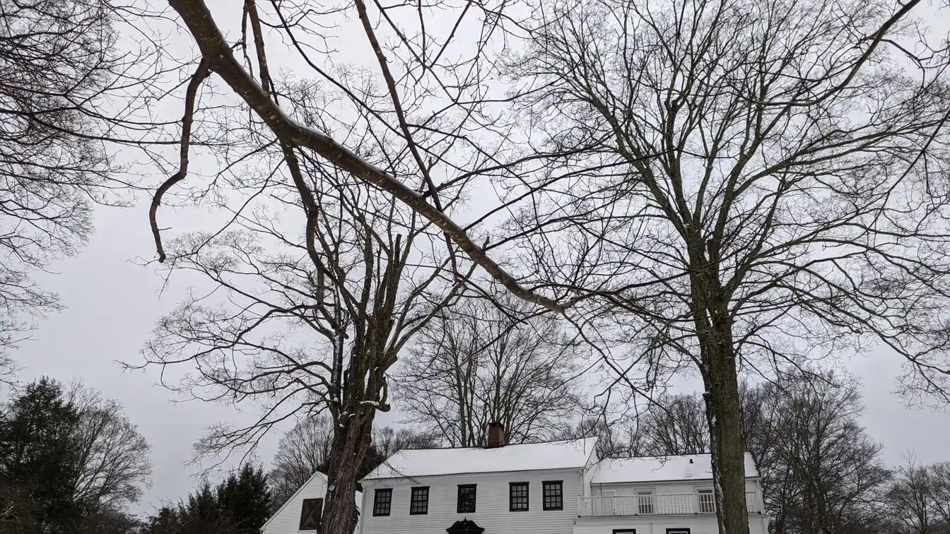 Perfect Winter Retreat