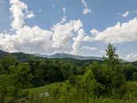 125 ACRES ARBOLADOS - CREAR UNA FINCA PRIVADA AISLADA