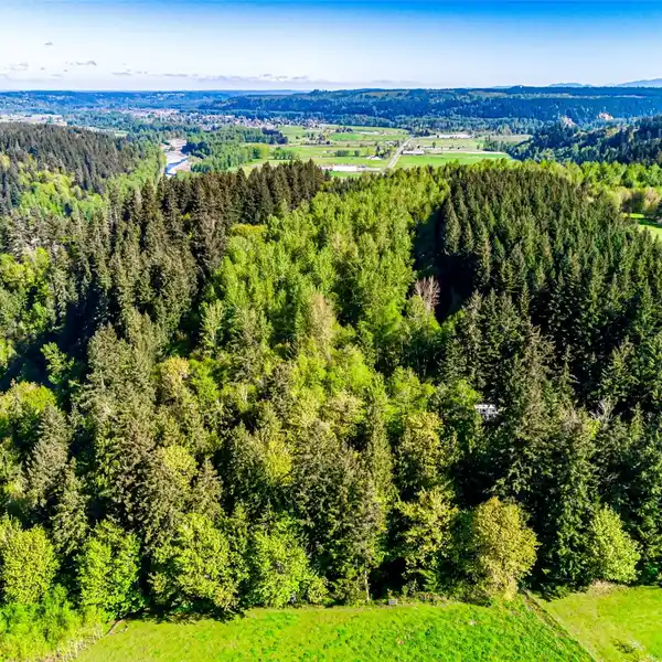 MAJESTIC AND SECLUDED WOODED ACREAGE