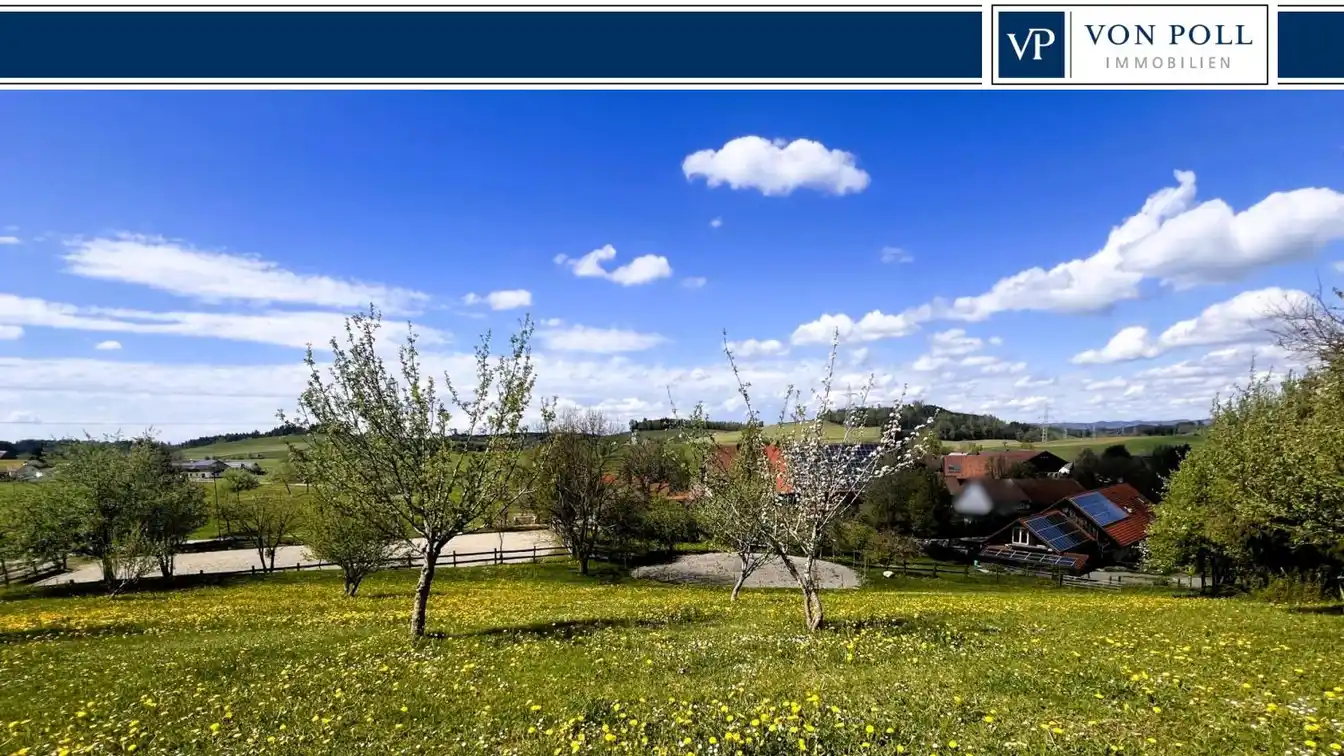 Expansive Equestrian Property
