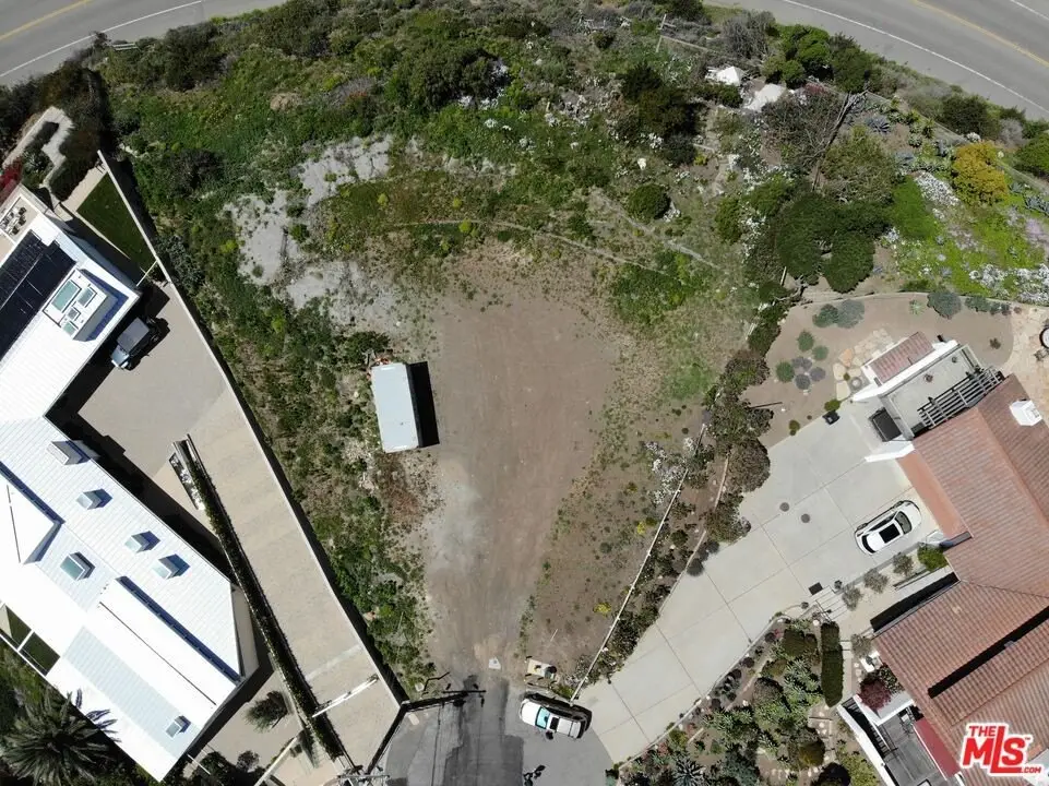 Large Image