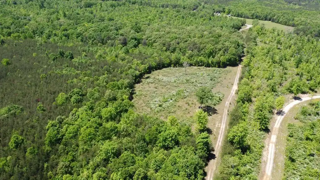 310 Acres of Beautiful Woodland