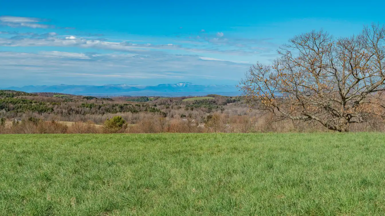 Centrally Located 101 Acres
