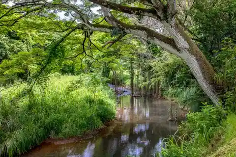Hidden Oasis Nestled in the Keapana Valley