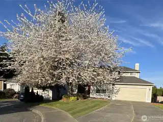 Updated Home on a Private Lot in Sought-after Summerwind