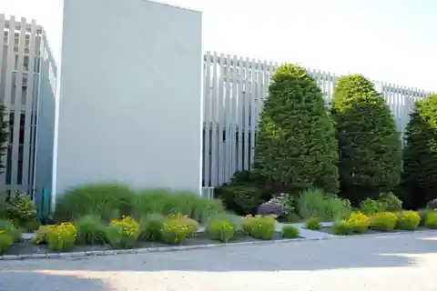Sun-filled One Bedroom Condo for Rent