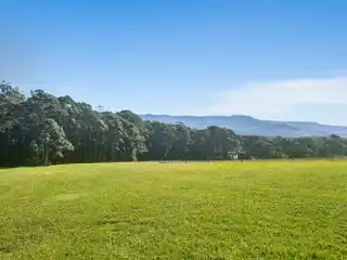 Inviting Homestead
