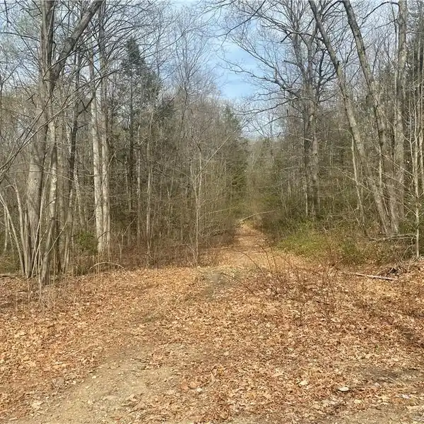 38 BEAUTIFUL ACRES