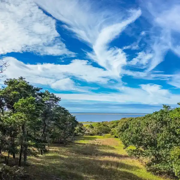 BEAUTIFUL FIVE-ACRE PARCEL