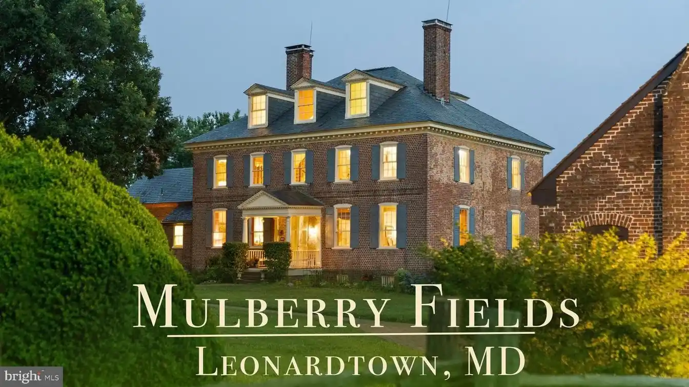 Mulberry Fields