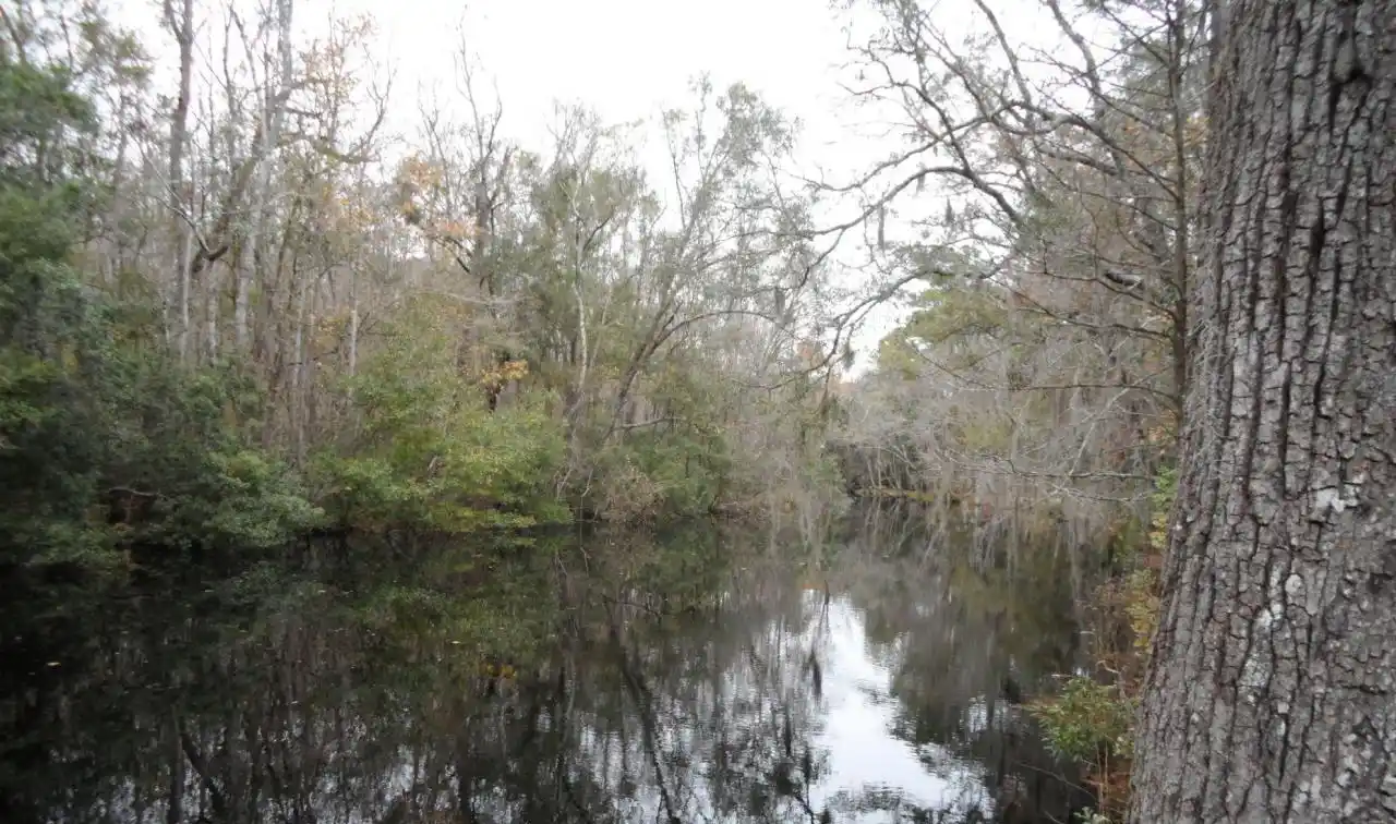 Beautiful Acreage