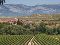 WINERY IN PREMIUM LOCATION