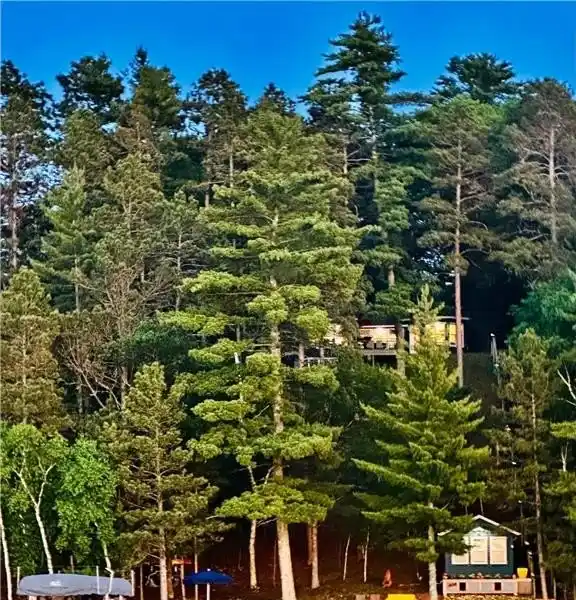 CHARMING CABIN WITH BEACH ON BIG TROUT LAKE