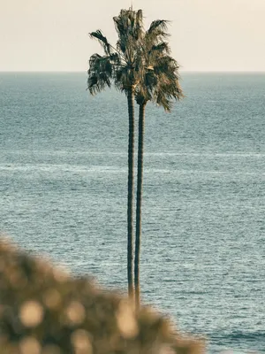 Waterfront