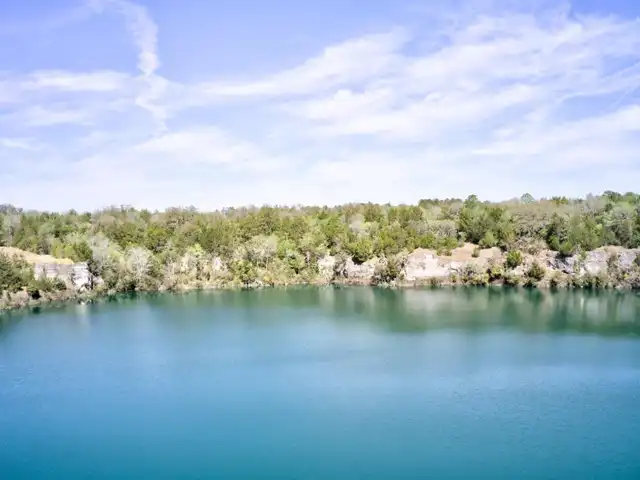Large Image