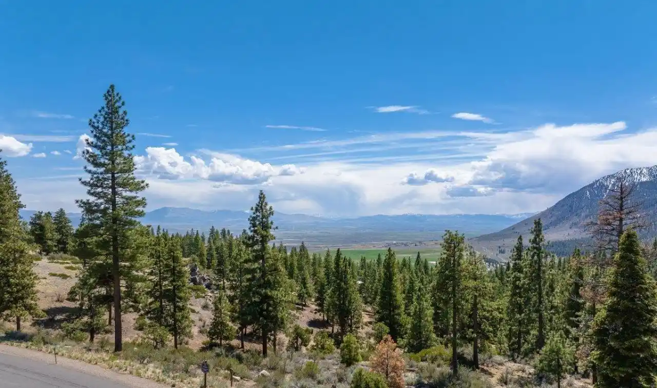 Expansive Homesite in Clear Creek Tahoe