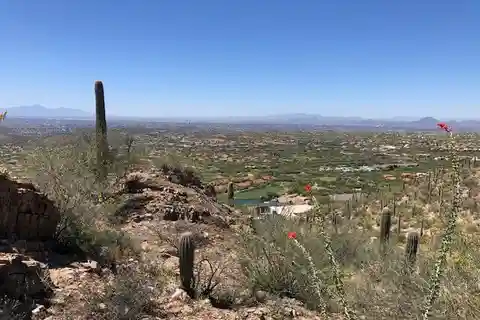 Elevated Estate Site with Panoramic Canyon Views