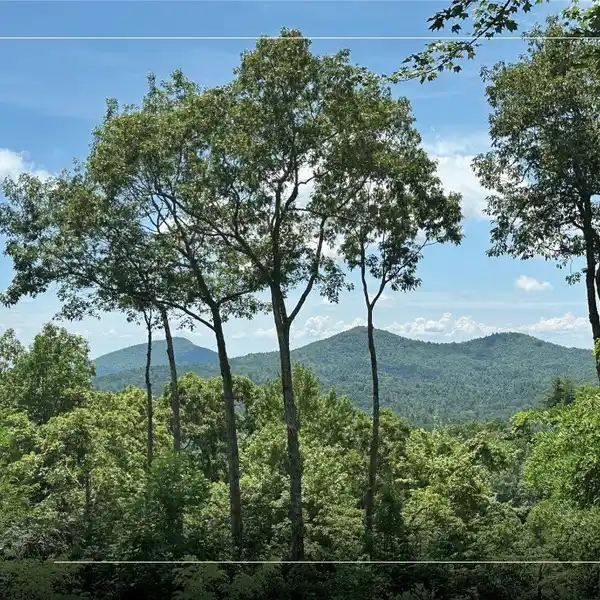 EXQUISITELY CRAFTED RESIDENCE WITH BEAUTIFUL AUTHENTIC TOUCHES