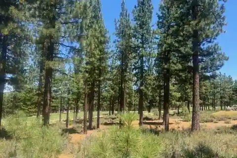 Beautiful Setting on the Fairway at Clear Creek Tahoe