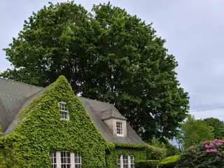 Lovely Cottage Style Home for Rent in Southampton Village