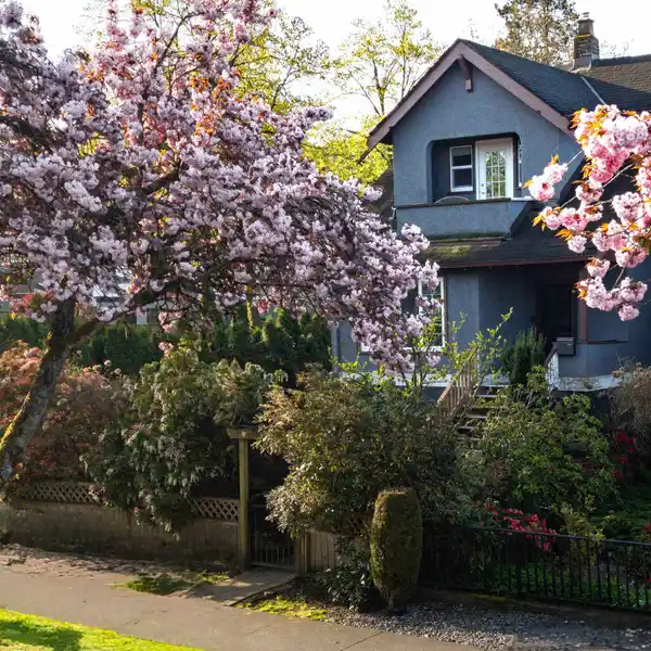 BEAUTIFUL OVERSIZED CORNER LOT