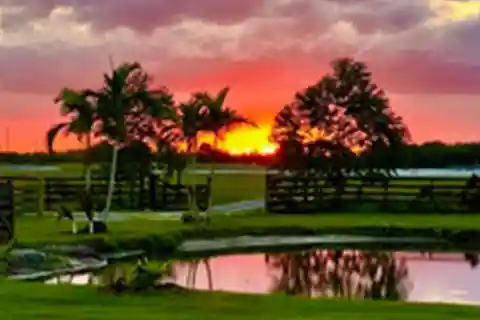 Equestrian Elegance on 8.42 Acres