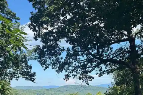 Remarkable Off-The-Grid Sanctuary