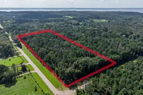 29.02 Acres of Wooded Land