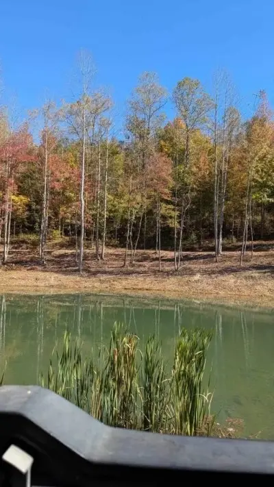 Large Image